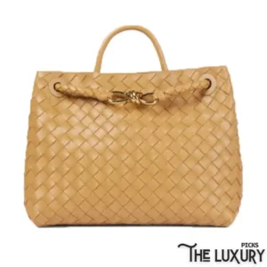 bottega-veneta-womens-andiamo-bag-img4