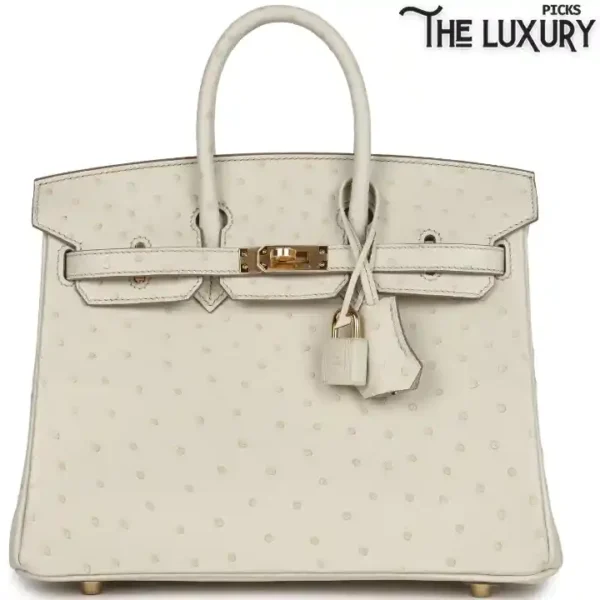 hermes-birkin-25-beton-ostrich-gold-hardware