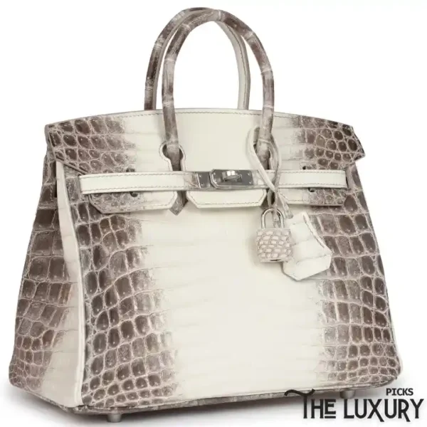 Hermès Birkin 25 Himalaya Niloticus Crocodile Palladium Hardware - Image 2