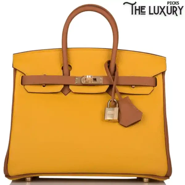 hermes-special-order-hss-birkin-25-jaune-ambre-and-gold-togo-permabrass-hardware