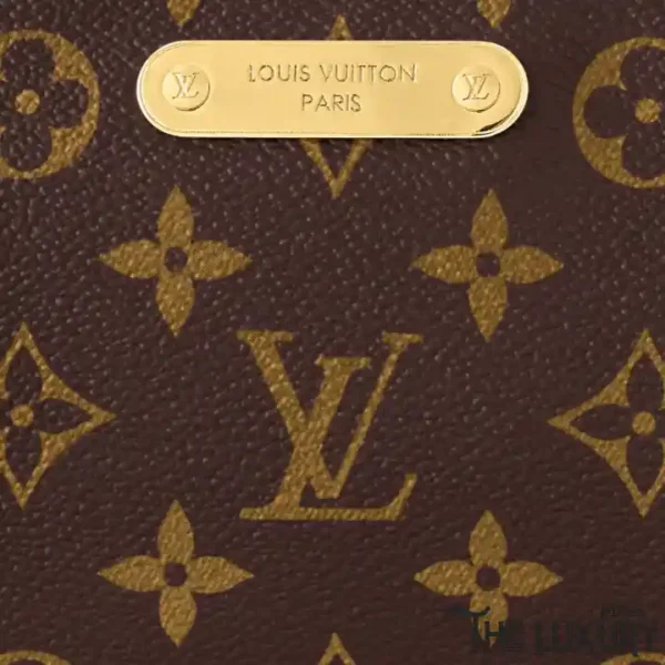 liv-pochette-monogram-canvas-img3